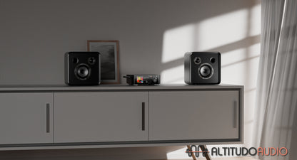 SE100 Passive Speaker