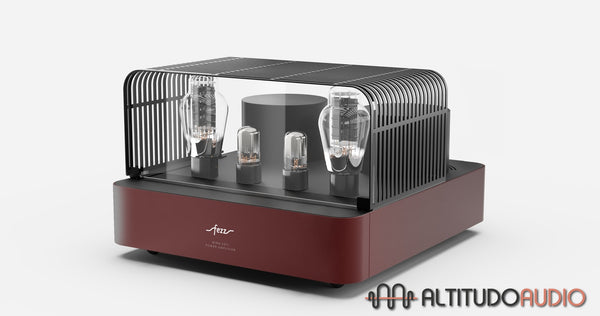 Mira Ceti 300B Mono Evolution (Pair)