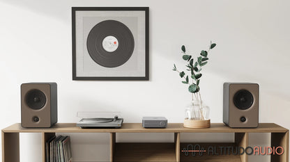 WiiM Amp Streaming Amplifier