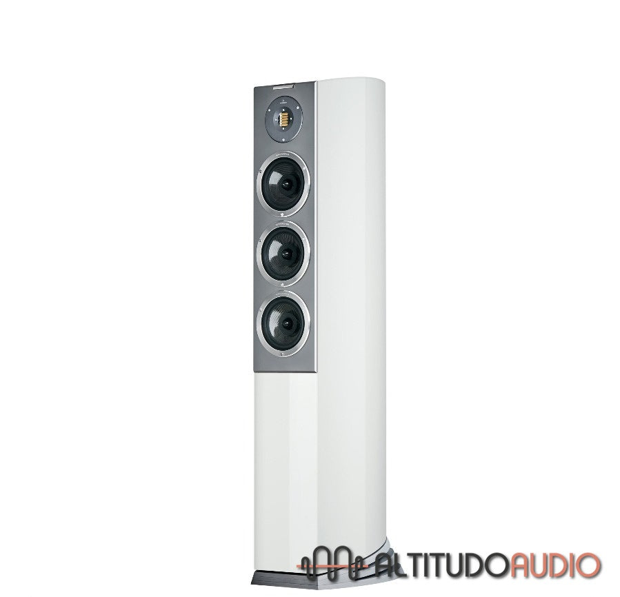 R-8 Avantgarde Arrete - SPECIAL ORDER (with Grounding Cable)