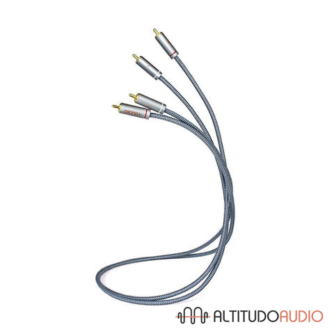 AA100 Audio Interconnect