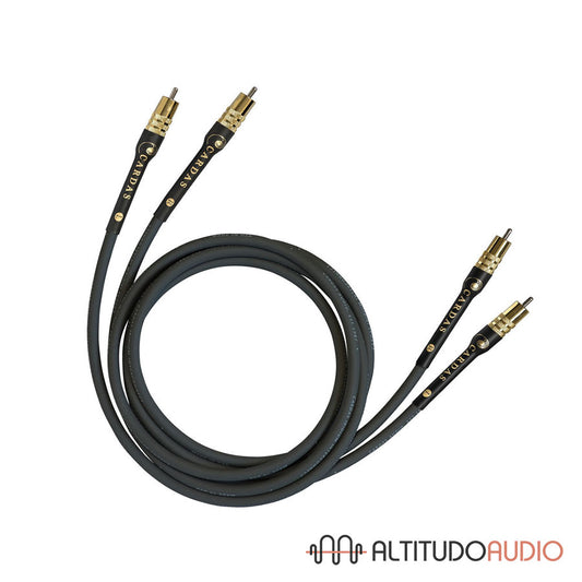 Iridium Interconnect
