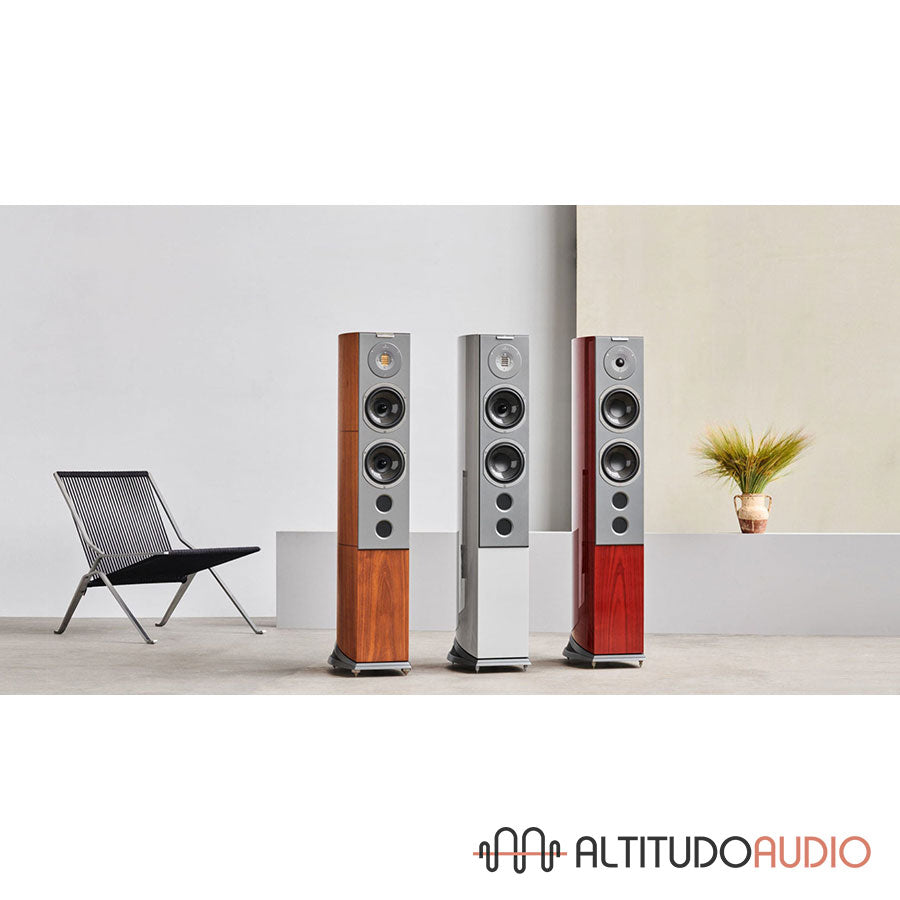 Audiovector R 6 Avantgarde Arreté  - SPECIAL ORDER (with Grounding Cable)