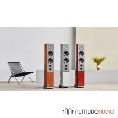 Audiovector R 6 Avantgarde Arreté  - SPECIAL ORDER (with Grounding Cable)