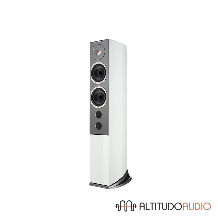 Audiovector R 6 Avantgarde Arreté  - SPECIAL ORDER (with Grounding Cable)